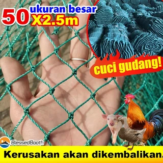 Jaring pagar ayam ukuran 2,5x25 meter bisa untuk pagar ayam