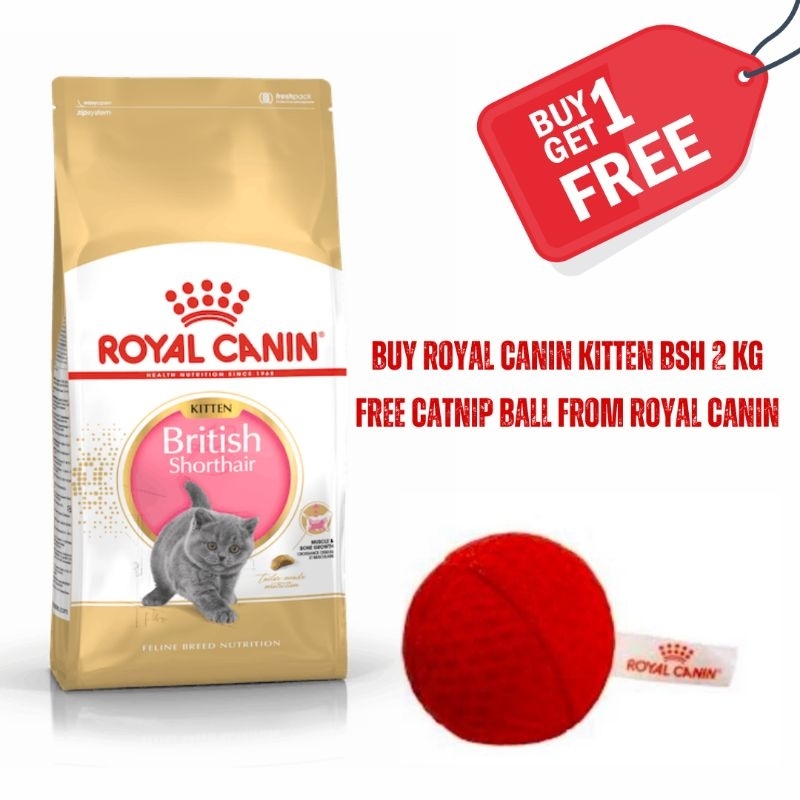 Royal canin kitten sales pret