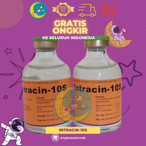 Jual Intracin 10s - Hormon Perangsang Kontraksi Uterus dan Kelenjar ...