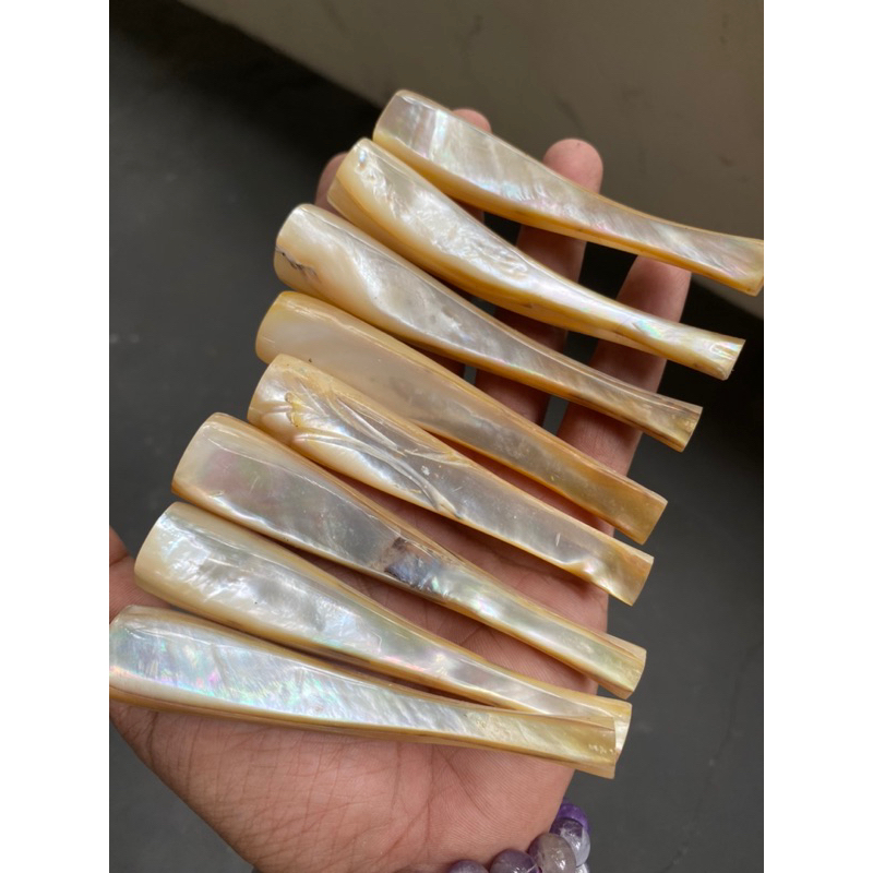 Jual Pipa Kerang | Shopee Indonesia