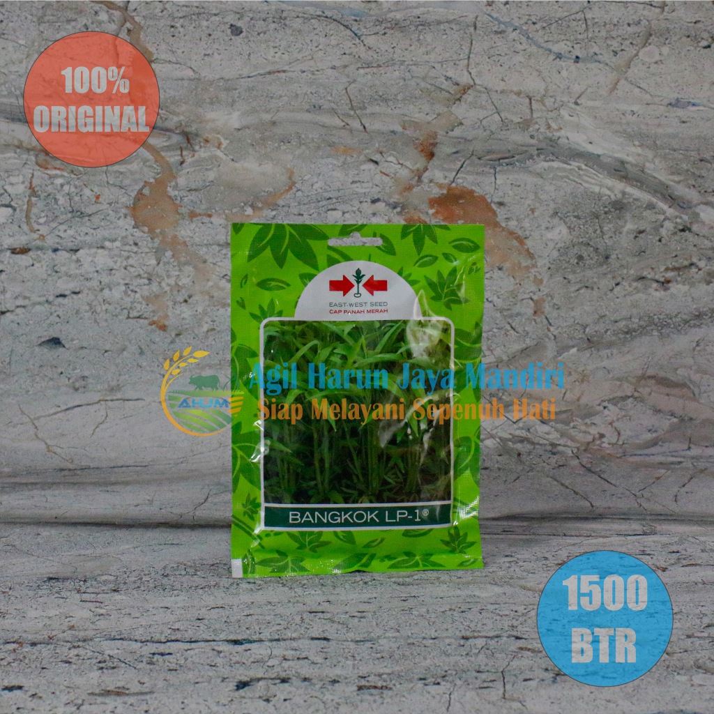 Jual Benih Bibit Biji Kangkung BANGKOK LP-1 Isi 1500 BTR Cap Panah ...