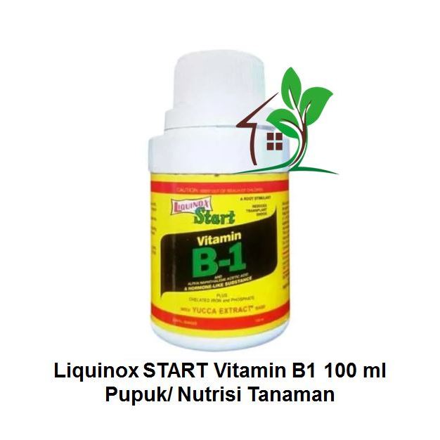 Jual VITAMIN B-1 LIQUINOX START 100 ML | Shopee Indonesia