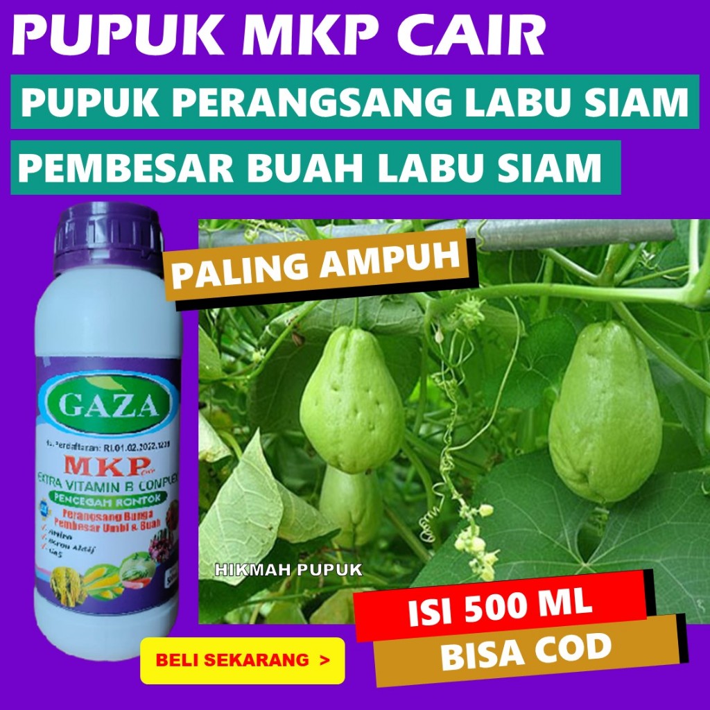 Jual OBAT TANAMAN BUAH LABU SIAM BIAR BUAH BESAR HASIL PANEN BANYAK MKP ...
