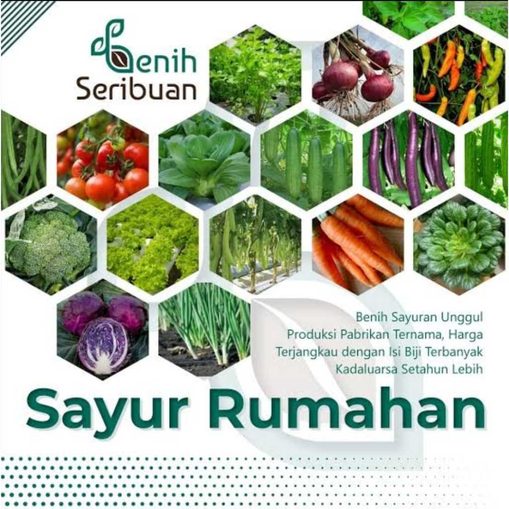 Benih Sayur Seribuan | Bibit Serba 1000 | Kualitas Benih F1 98% Tumbuh | Benih Sayur Hidroponik