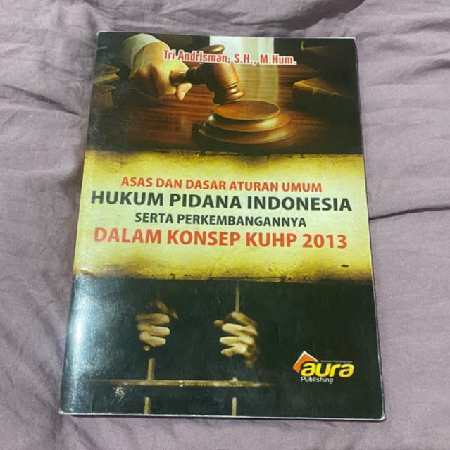 Jual BUKU HUKUM PIDANA TRI ANDRISMAN (ASAS DAN DASAR ATURAN UMUM HUKUM ...