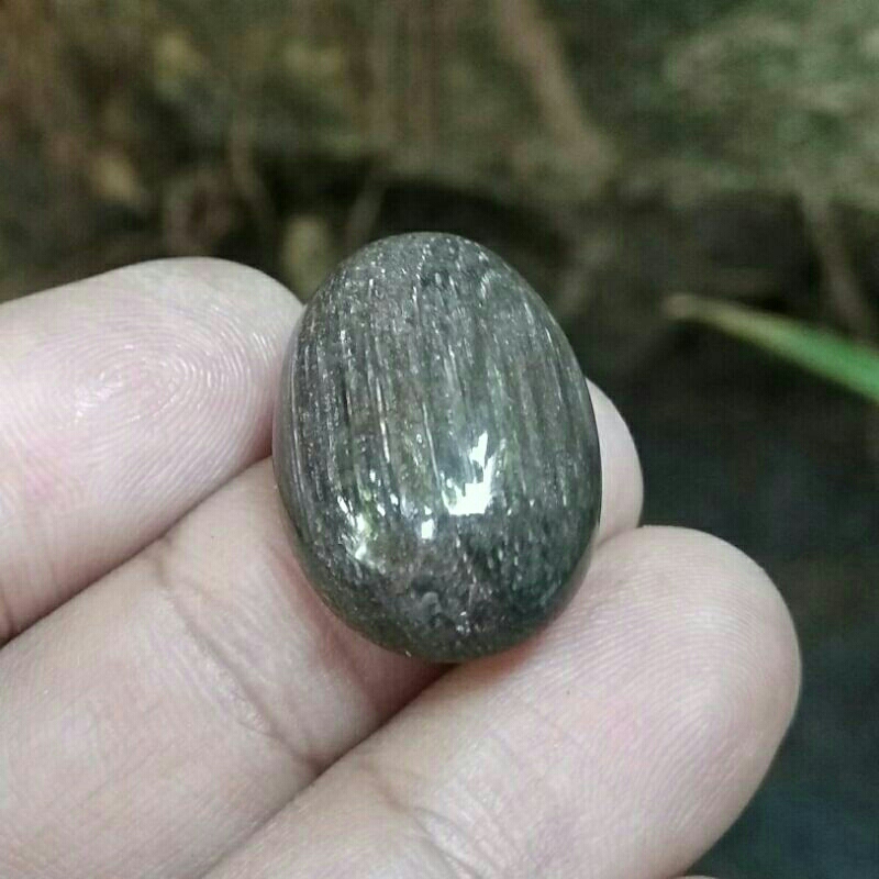 Jual Batu Cincin Akik Fosil Kayu Petrified Wood Cibeet | Shopee Indonesia