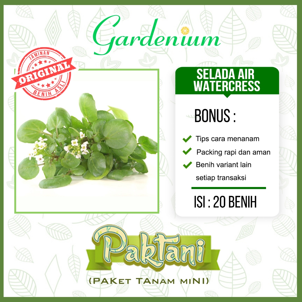 20 Benih Selada Air True Watercress Unggul Paktani