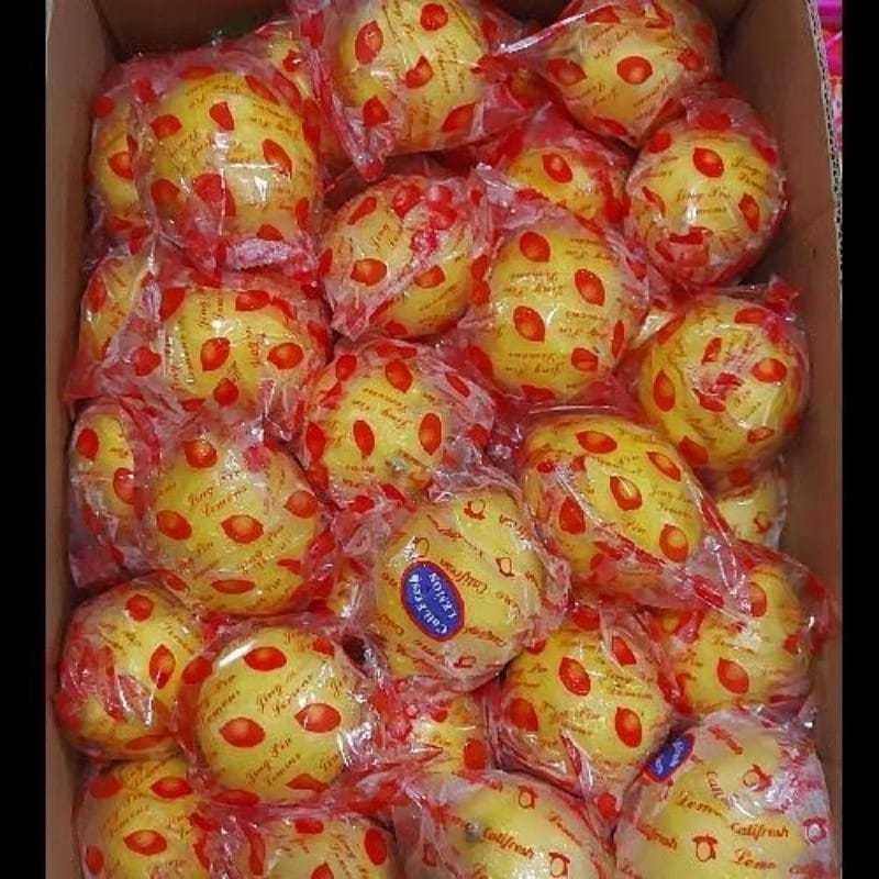 Jual Lemon Import 1kg *Pekanbaru* | Shopee Indonesia