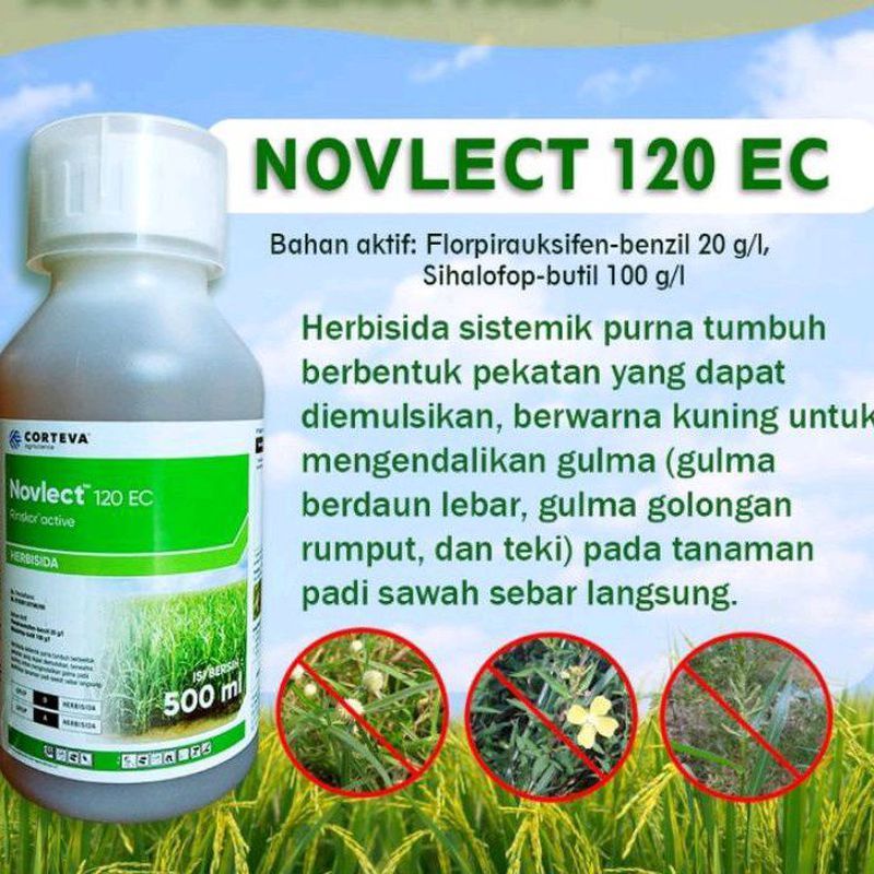 Jual Herbisida Novlect 120EC 500 ml/Herbisida Novlect 500 ml/Racun ...