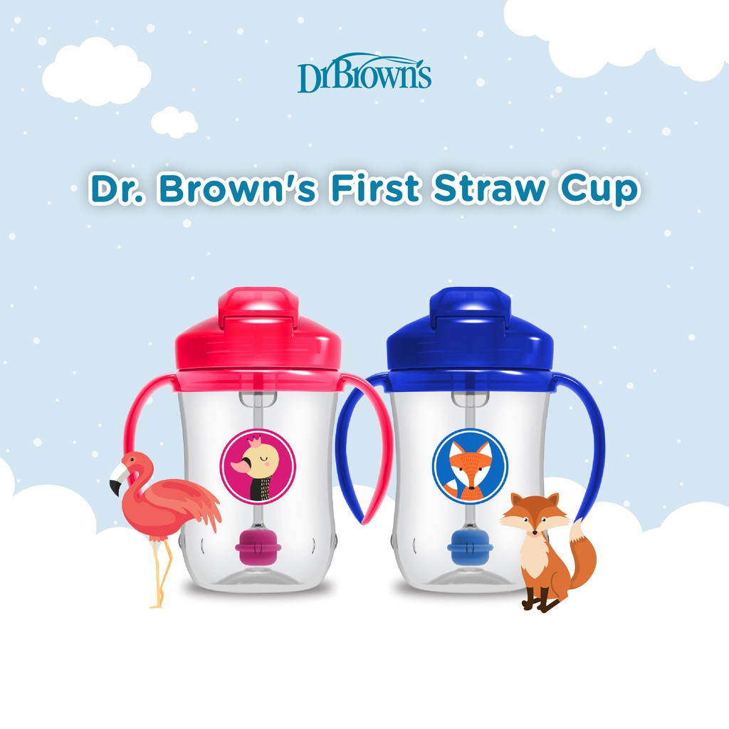 Jual BOTOL MINUM DR BROWN'S STRAW FIRST STRAW CUP 91010 270ML | Shopee ...