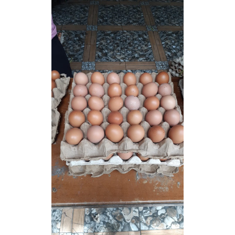 Jual Telur Ayam Ras ( Kecil ) | Shopee Indonesia