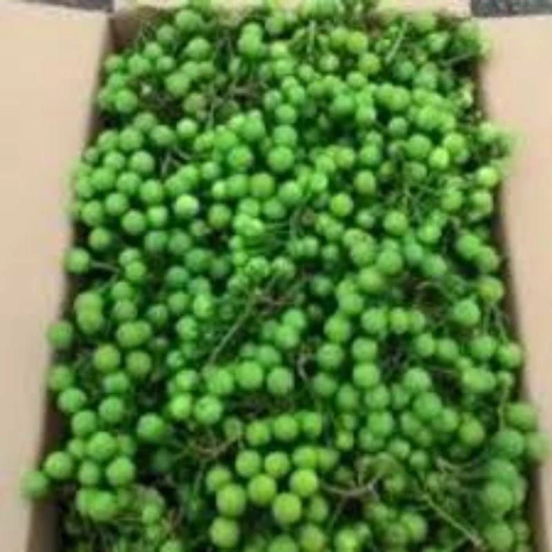 Jual RIMBANG 250gr | Shopee Indonesia