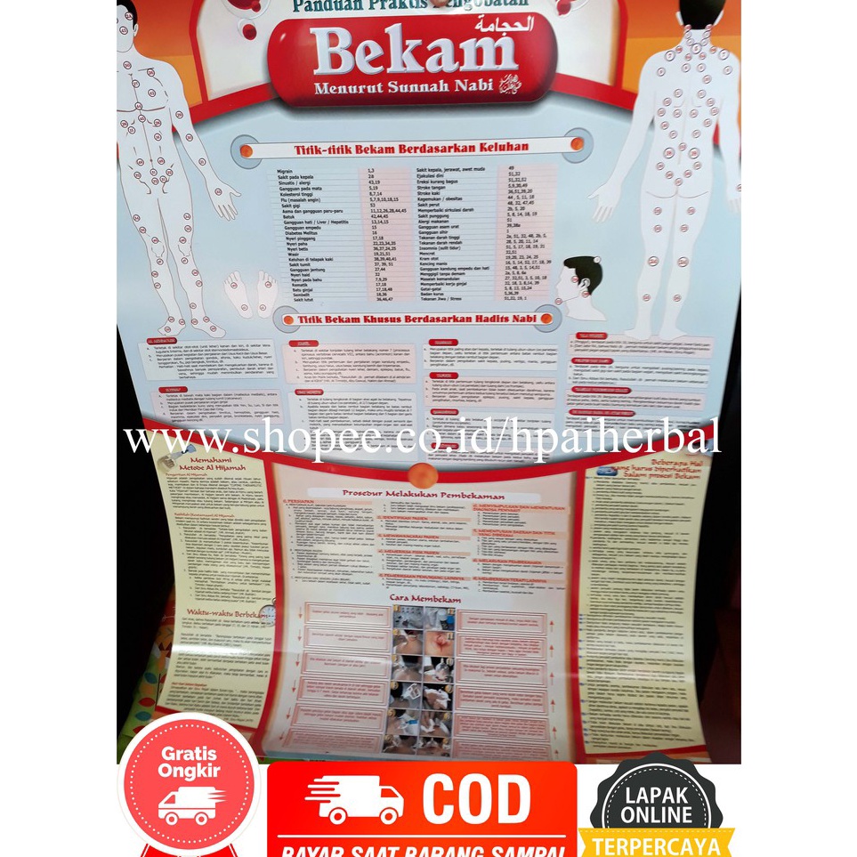 Jual Paket Hebat POSTER BEKAM POSTER PANDUAN BEKAM | Shopee Indonesia