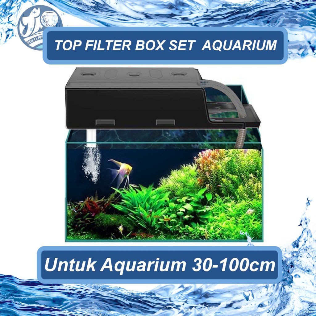 Jual TOP FILTER BOX KECIL-SEDANG-JUMBO AQUARIUM FILTER ATAS KOSONG ...