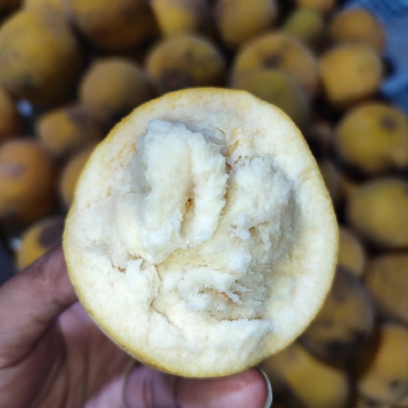 Jual Kecapi 1kg | Shopee Indonesia