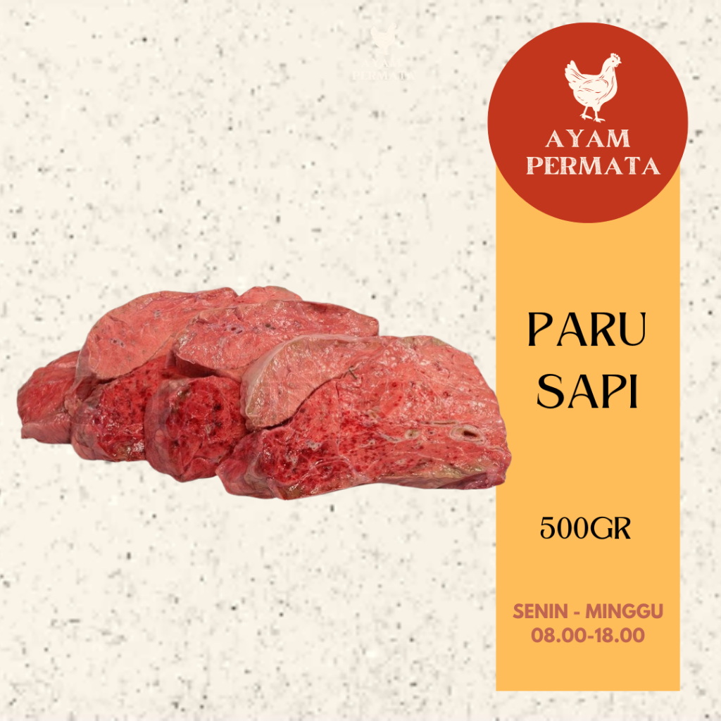 Jual Daging Paru Sapi Beef Lung Fresh Frozen Halal Beff Ayam