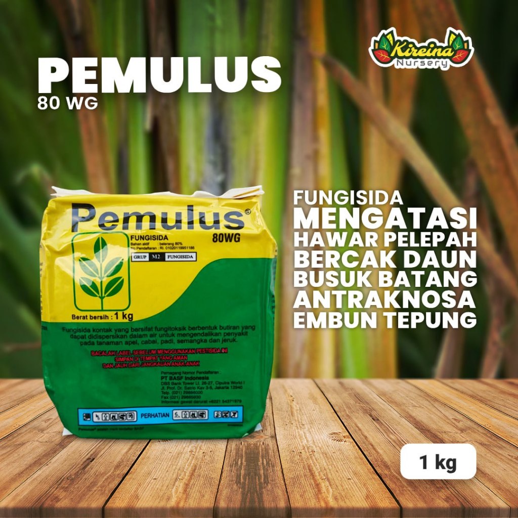 Jual Pemulus 80WG 1 Kg - Fungisida Untuk Mengendalikan Hawar Pelepah ...