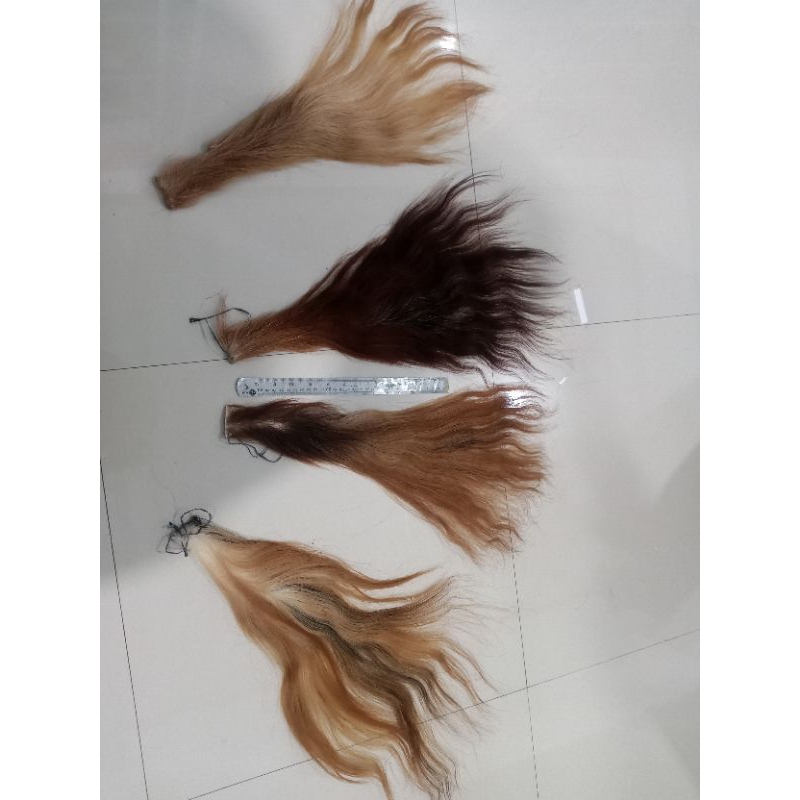 Jual Ekor/Gubat/Rambut sapi super warna random (Tanpa garam&Tidak bau ...