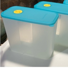 Jual Diskon Sale !!! Tupperware Deep Pocket Freezermate 3.3L Large with ...