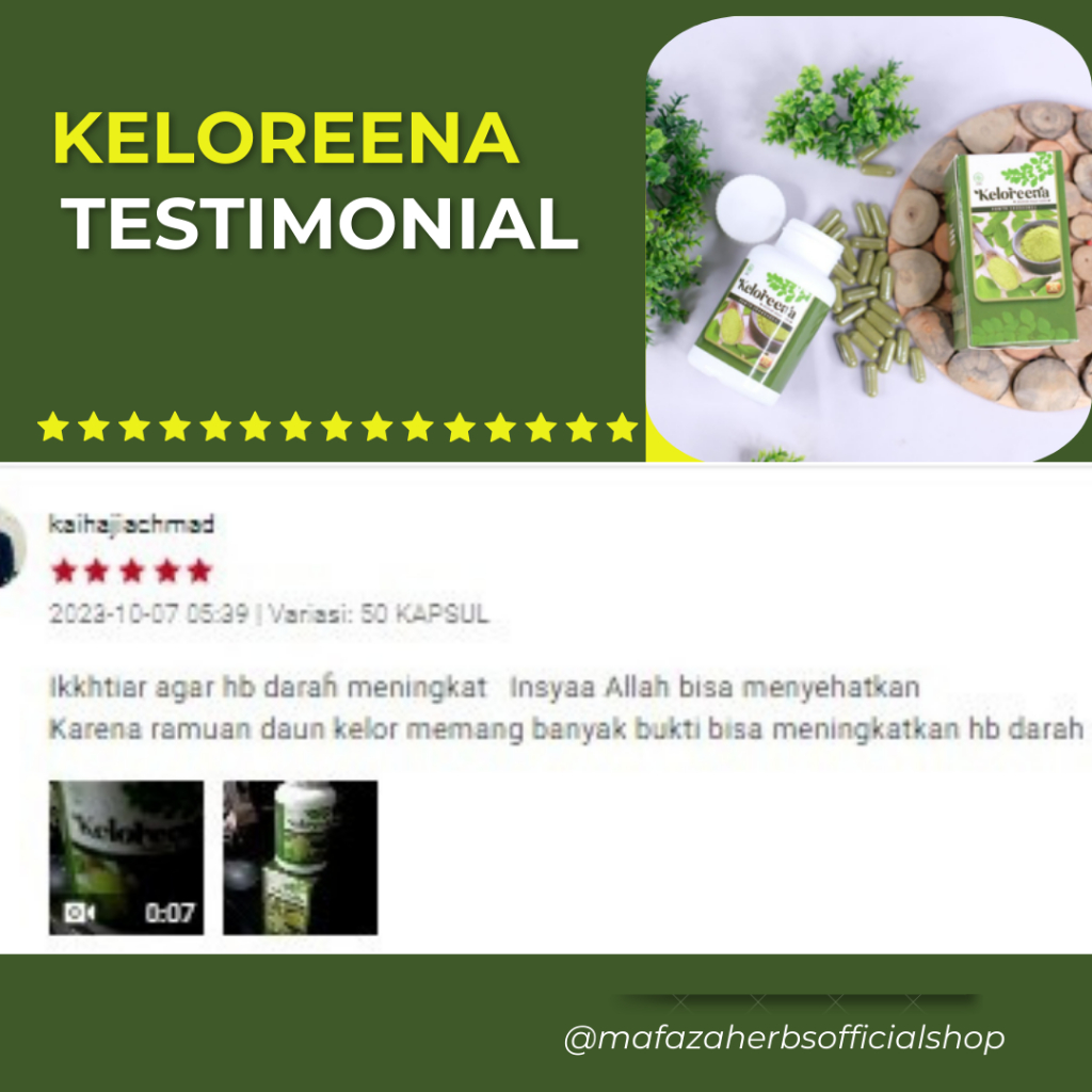Jual Obat Anemia Kurang Darah HB Rendah Menaikan HB Rendah Trombosit ...