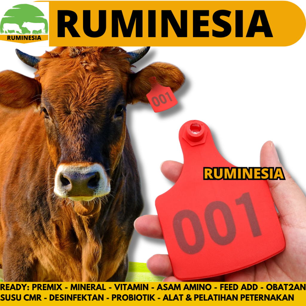 Jual EAR TAG SAPI BERNOMOR (6X7cm) 1 PACK (100 PCS) TEBAL- Ear Tag ...