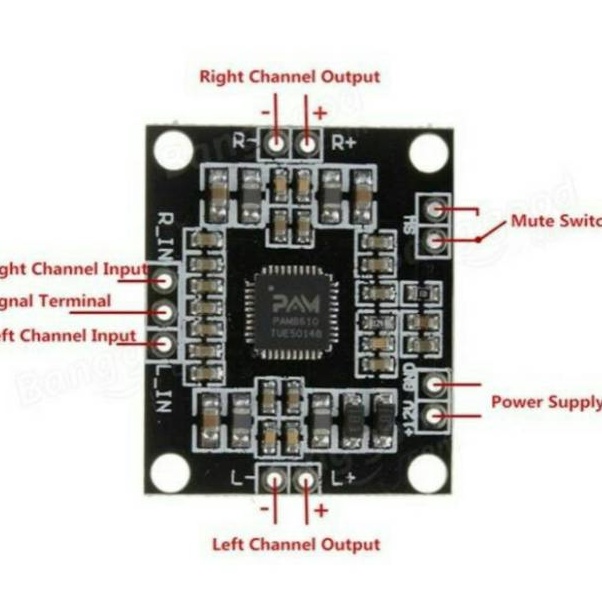 Jual PAM861 PAM 861 Module amplifier | Shopee Indonesia