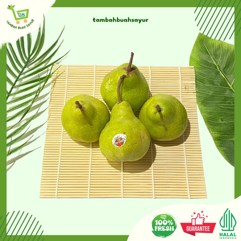 Jual PEAR PACKHAM PREMIUM (KHUSUS SAMEDAY DAN INSTAN) | Shopee Indonesia