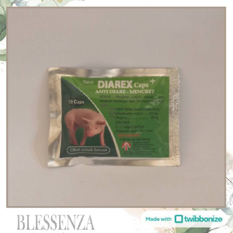 Jual DIAREX PIG 10 KAPSUL - OBAT ANTI DIARE MENCRET PERADANGAN USUS ...