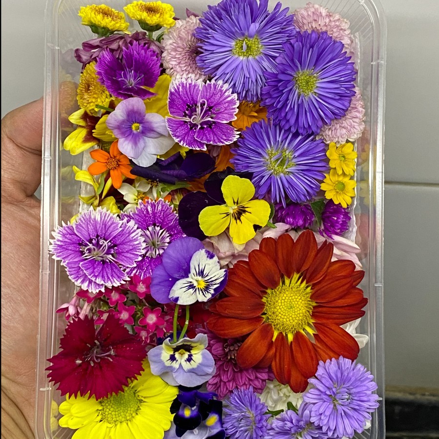 Jual Mix Edible Flowers Fresh Cut | Shopee Indonesia