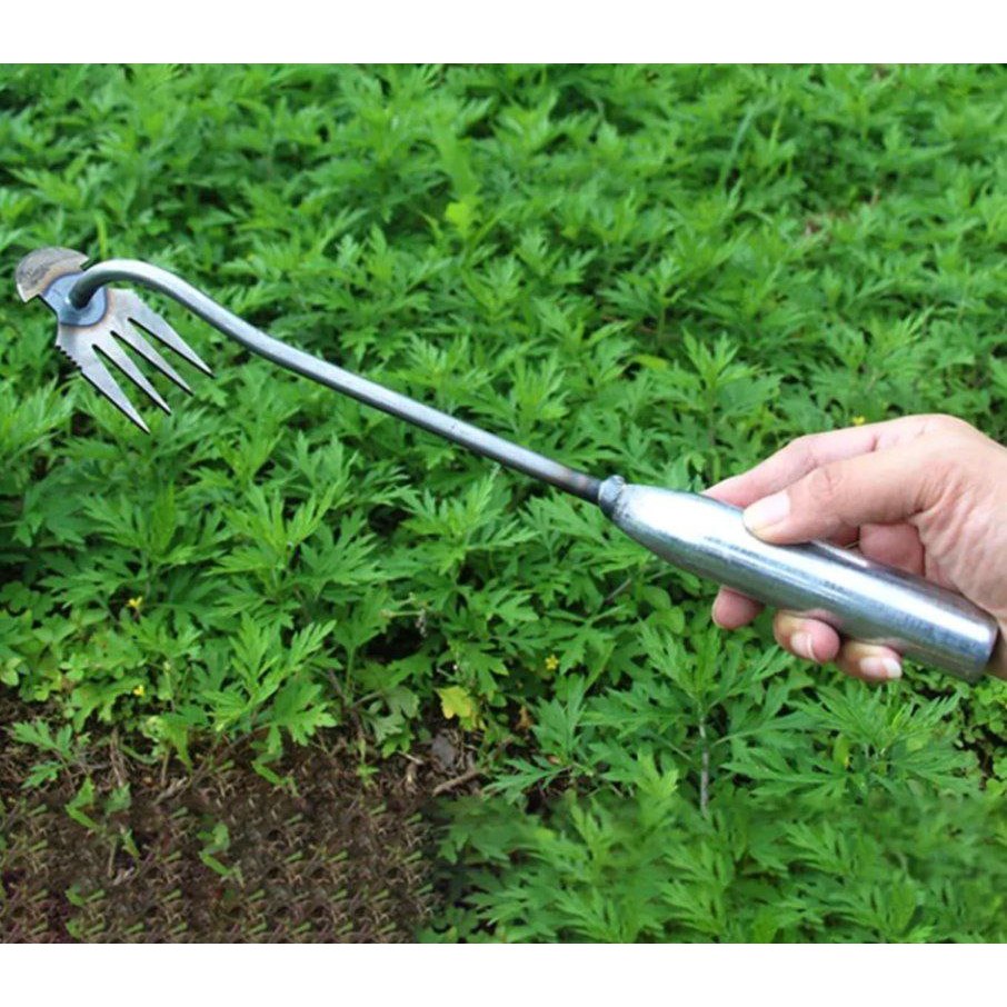 Jual Garpu pencabut Rumput BEST SELLER EG | Shopee Indonesia