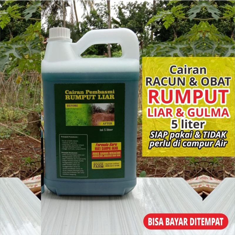 Jual gramason Harga Terbaik & Termurah Agustus 2026 | Shopee Indonesia