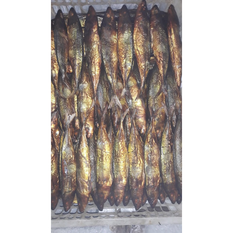 Jual Ikan Layang Roa Asap Enak Murah | Shopee Indonesia