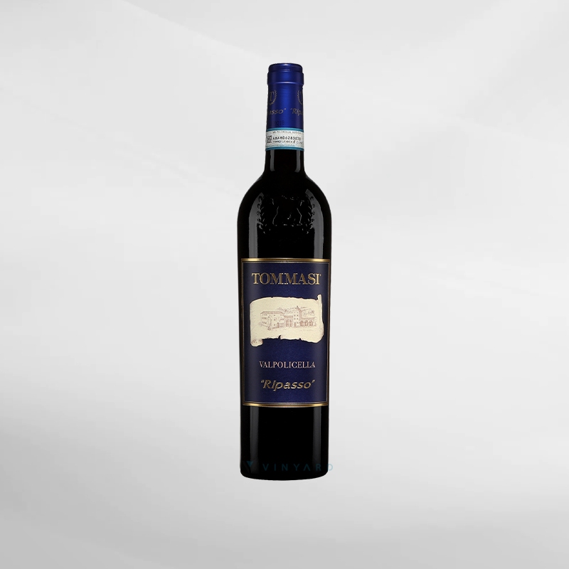 Jual Red Wine Tommasi Ripasso Valpolicella Classico 750 ml (Original ...