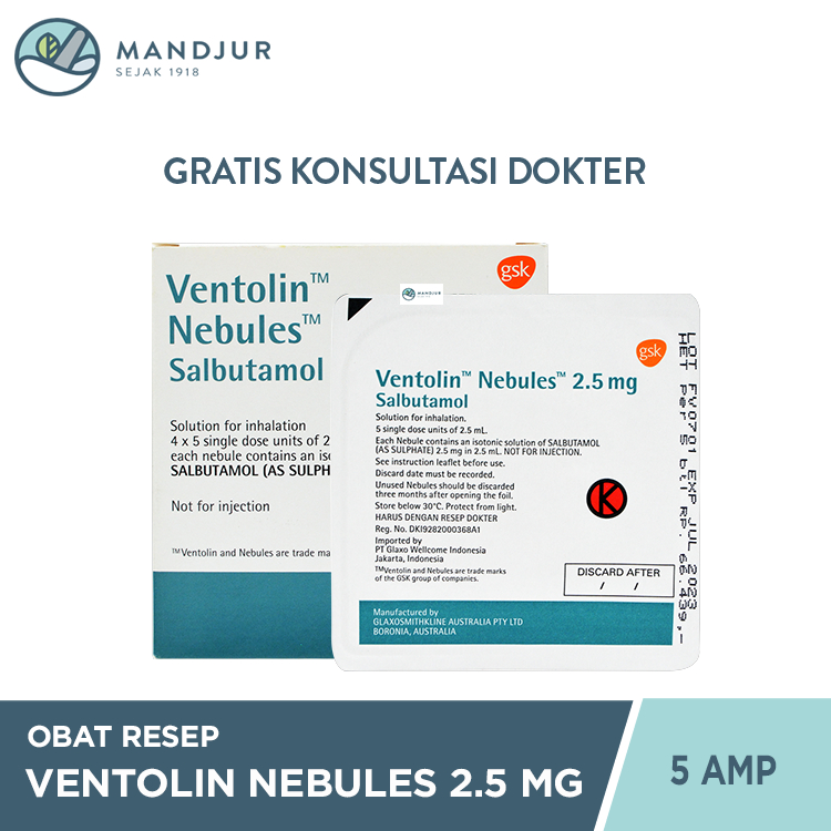 jual-ventolin-nebules-2-5-mg-5-ampul-shopee-indonesia