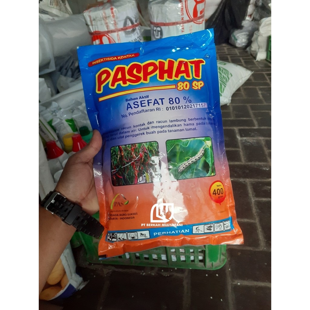 Jual Insektisida Kontak Pasphat 80SP Paspat Bahan Aktif Asefat 80% ...