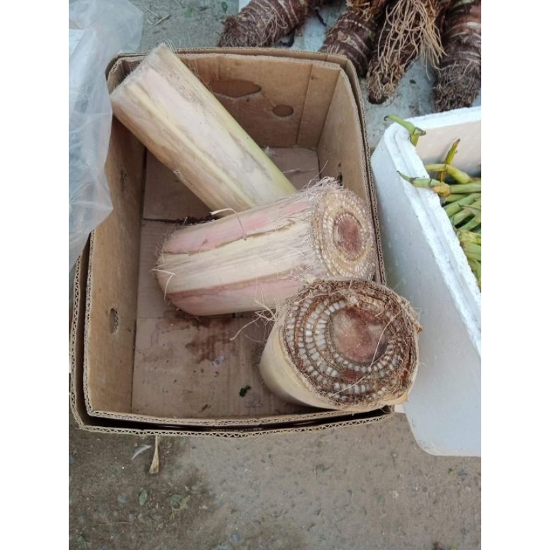 Jual GEDEBOG PISANG / BATANG PISANG 1 KG - UNTUK CAMPURAN PAKAN TERNAK ...