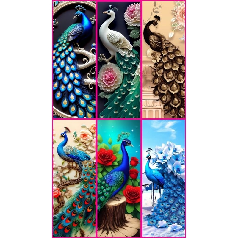 Jual sticker kaca merak ukuran 160x35 | Shopee Indonesia