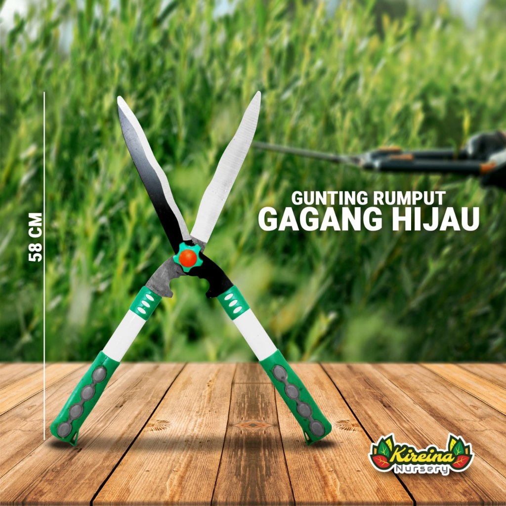Jual Gunting Rumput Gagang Hijau 58cm | Shopee Indonesia