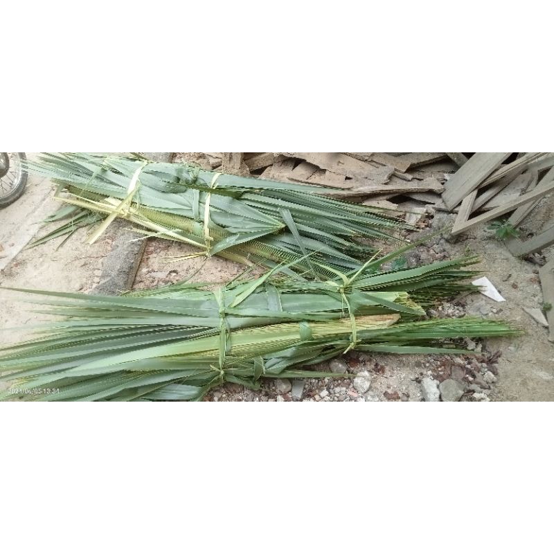 Jual Daun Lontar Siwalan Type Sedang PUPUS LONTAR Shopee Indonesia