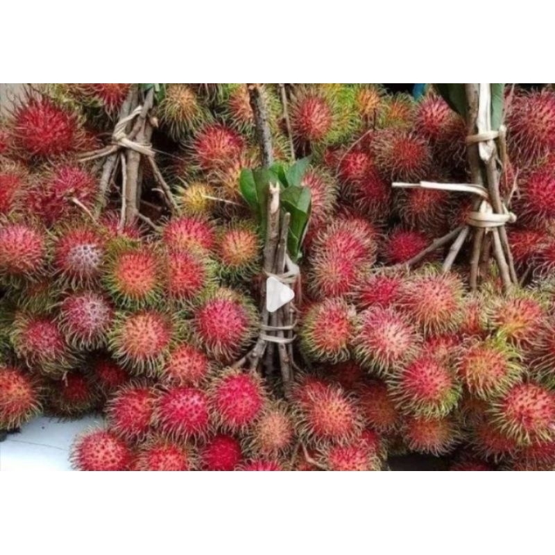 Jual rambutan fresh 1 kg | Shopee Indonesia