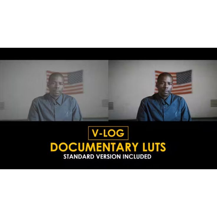 Jual Videohive V-Log Documentary and Standard LUTs | Shopee Indonesia