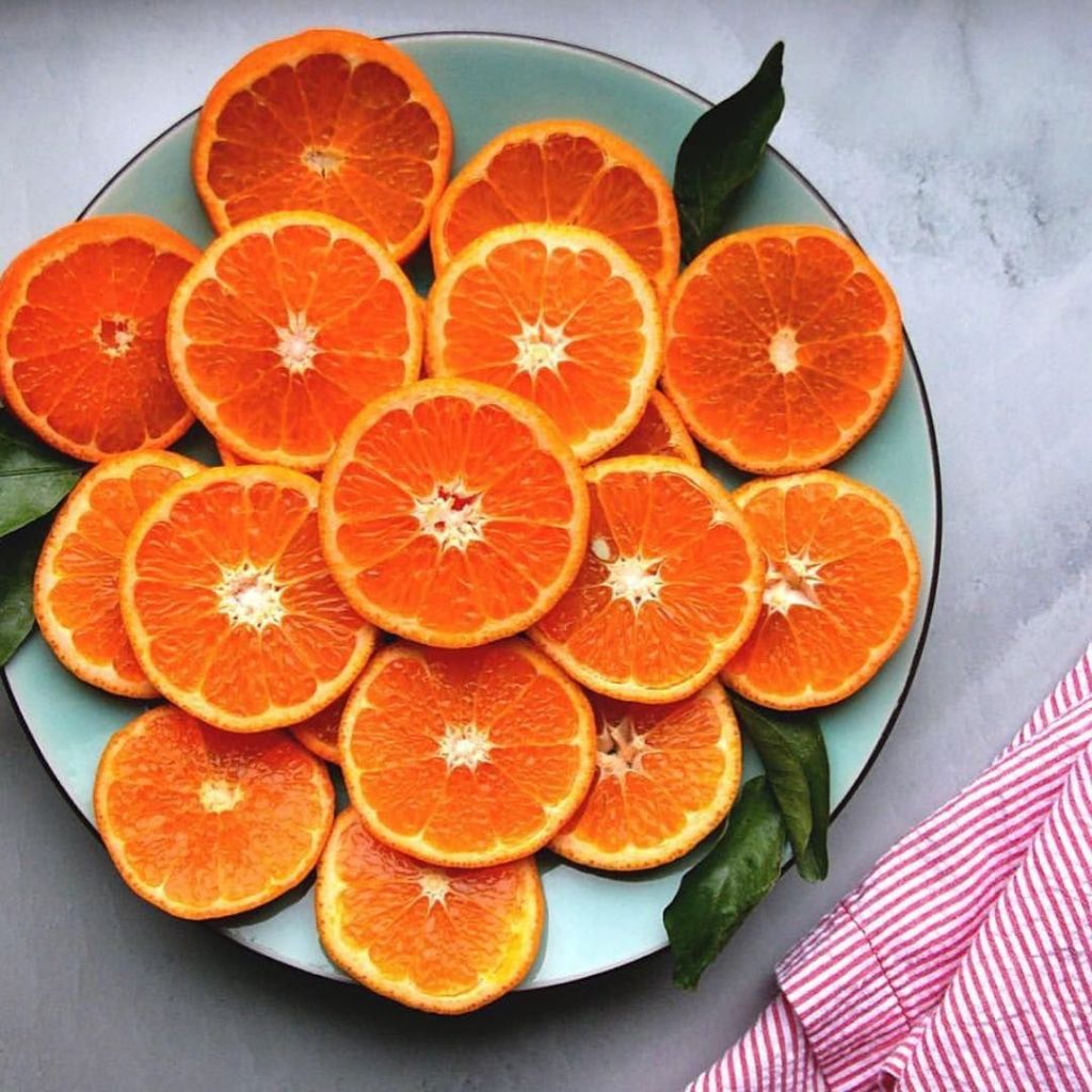 Jual 2PH Blue Gum Jeruk Honey Murcot Phoenix Mandarin Orange AUSTRALIA ...