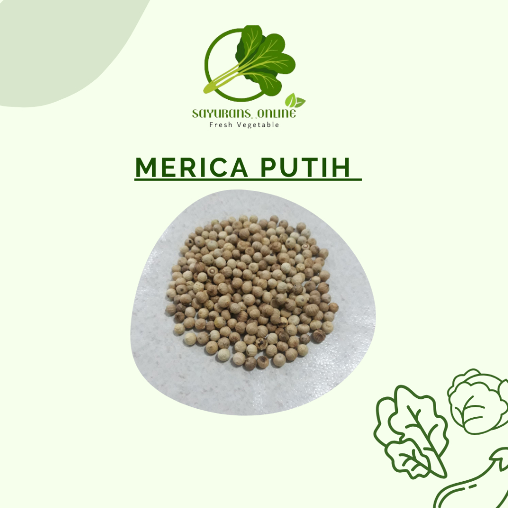 Jual MERICA/LADA/MERICA SUPER/MERICA BERSIH/MERICA PUTIH 1KG | Shopee ...