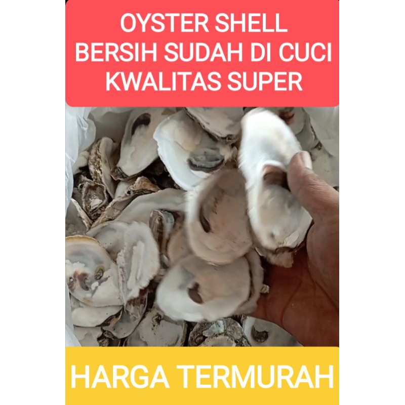 Jual 25 KG OYSTER SHELL MEDIA FILTER KOLAM | Shopee Indonesia