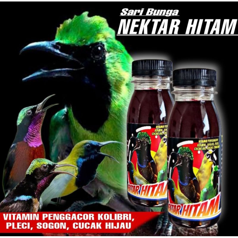 Jual NEKTAR HITAM 100 ML Kolibri konin sogon pleci cucak ijo sepah raja ...