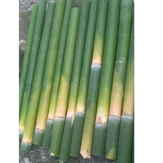 Jual obor bambu dengan sumbu siap pakai | Shopee Indonesia
