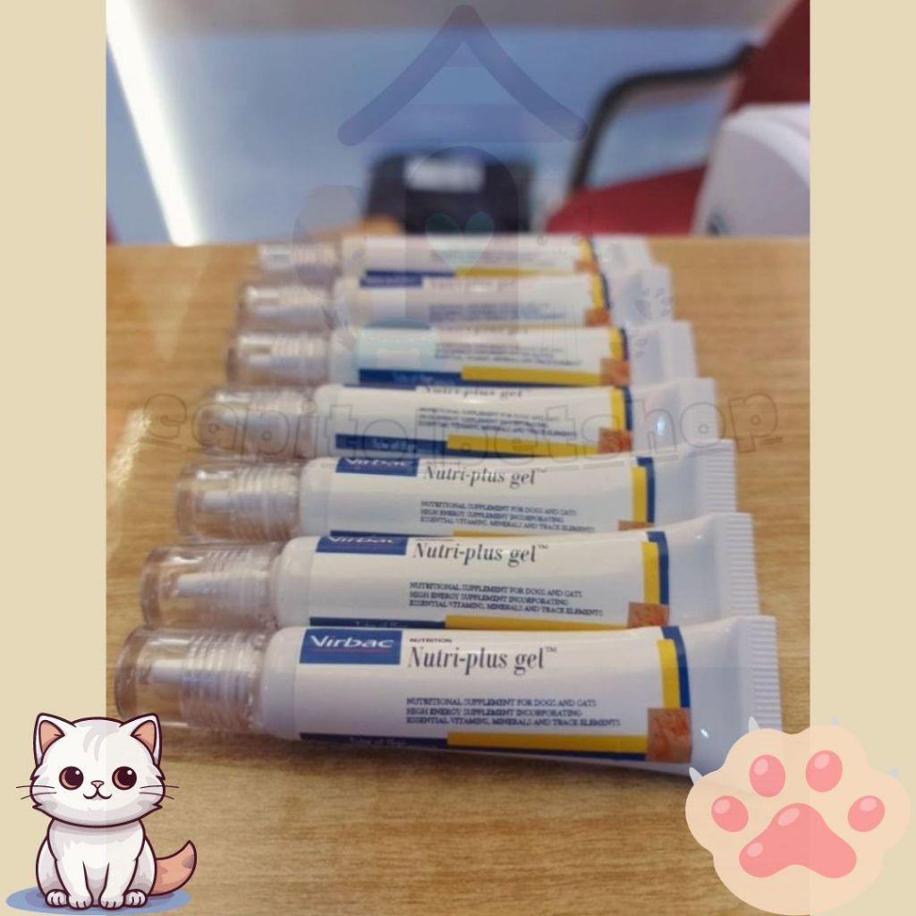 Jual Nutriplus Gel Terlengkap & Harga Terbaru Juli 2026 | Shopee Indonesia