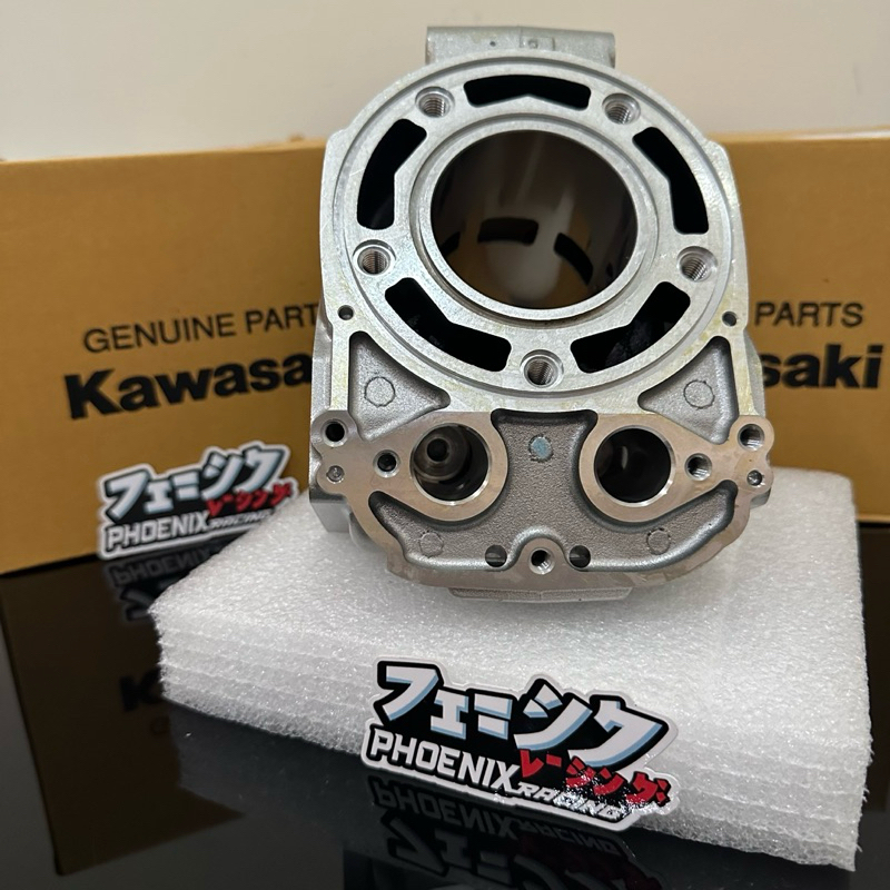 Jual Cylinder Blok Block Ninja 1855 Silver Original Kawasaki Genuine ...
