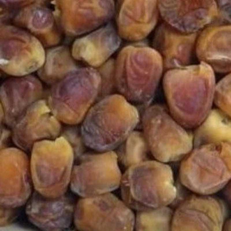 Jual Kurma Sukari / KURMA RAJA TEKSTUR LEMBUT KEMASAN 3KG | Shopee ...