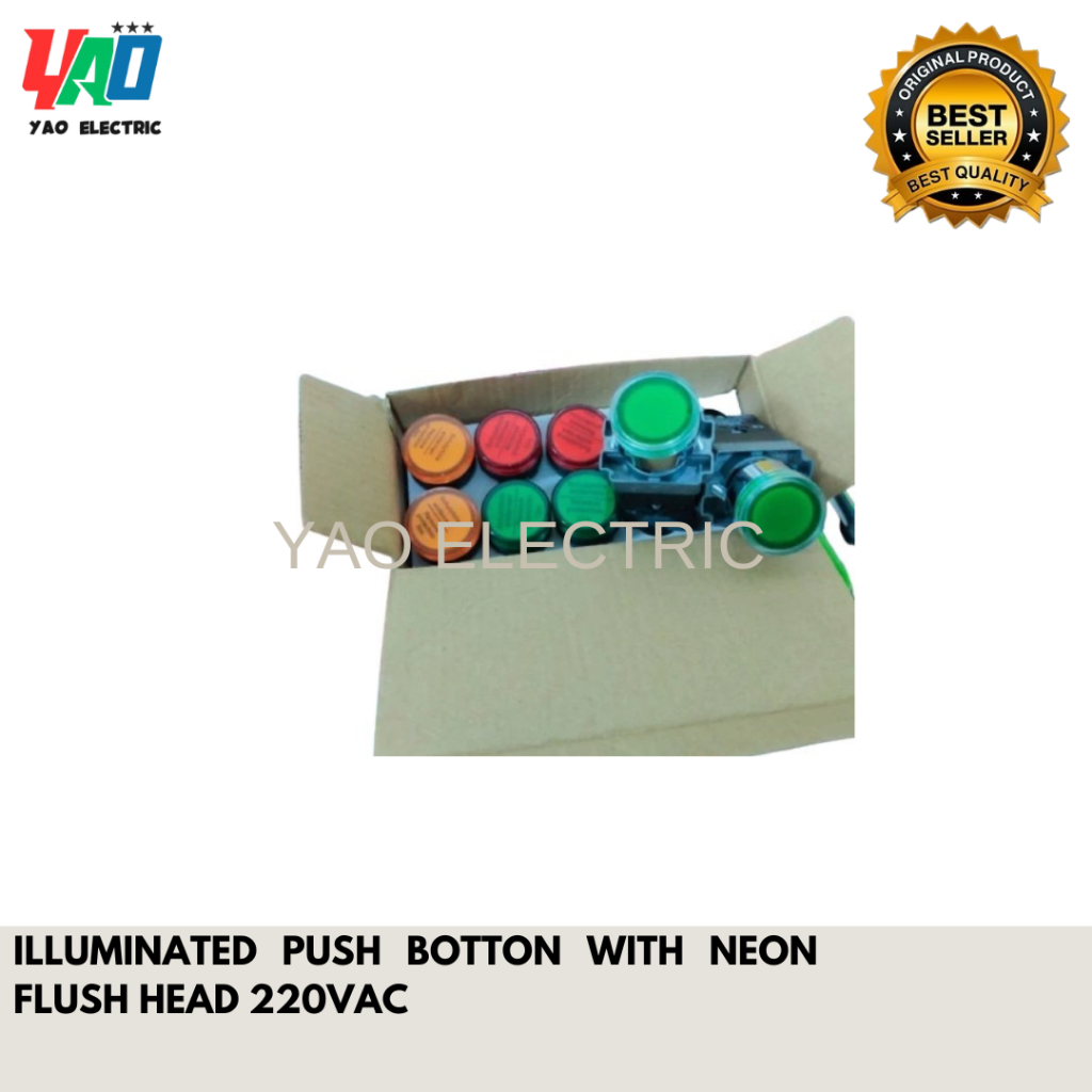 Jual ILLUMINATED PUSH BOTTON WITH NEON FLUSH HEAD 220VAC-FORT | Shopee ...